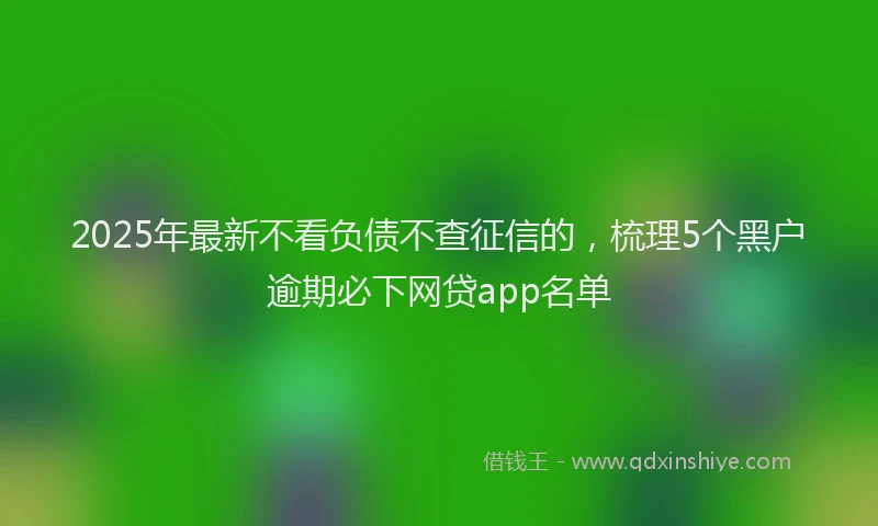 2025年最新不看负债不查征信的，梳理5个黑户逾期必下网贷app名单