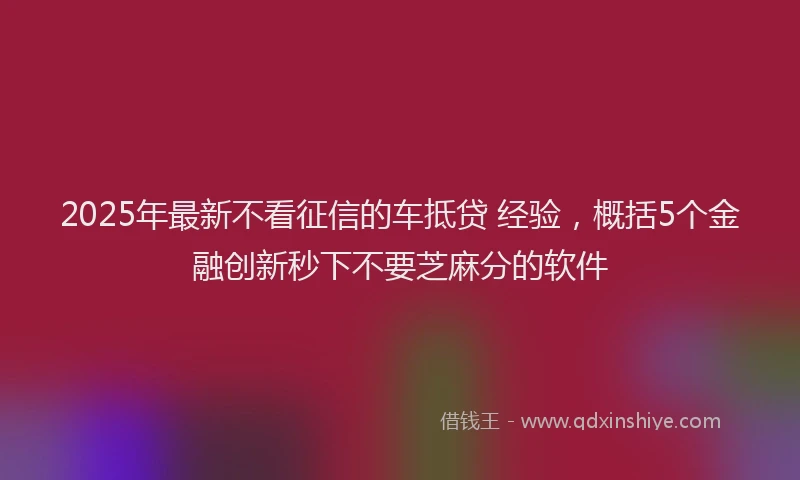 2025年最新不看征信的车抵贷 经验，概括5个金融创新秒下不要芝麻分的软件