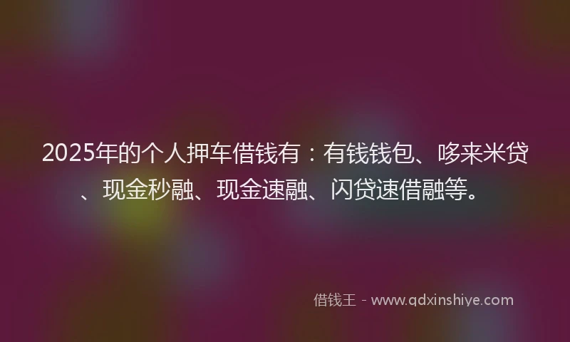 2025年的个人押车借钱有：有钱钱包、哆来米贷、现金秒融、现金速融、闪贷速借融等。