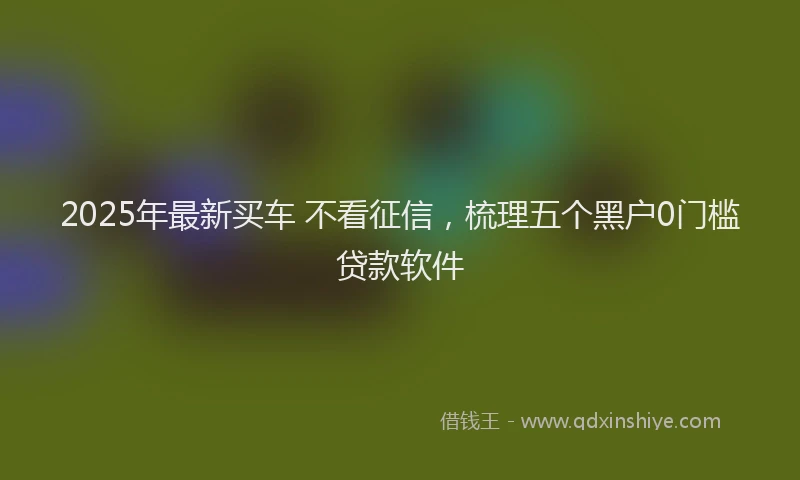 2025年最新买车 不看征信，梳理五个黑户0门槛贷款软件