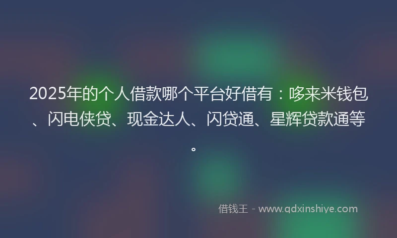 2025年的个人借款哪个平台好借有：哆来米钱包、闪电侠贷、现金达人、闪贷通、星辉贷款通等。