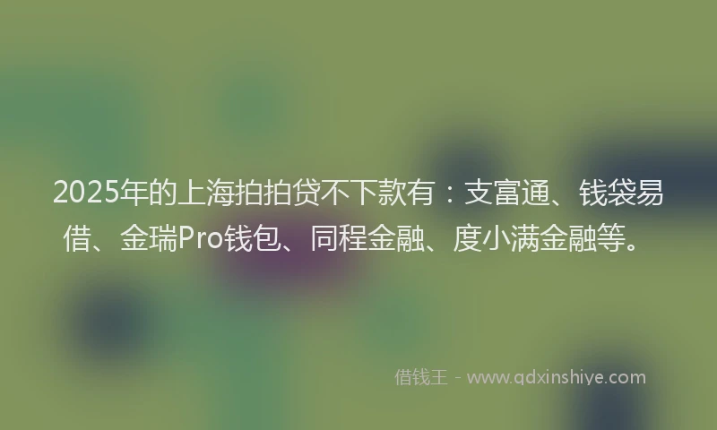 2025年的上海拍拍贷不下款有：支富通、钱袋易借、金瑞Pro钱包、同程金融、度小满金融等。