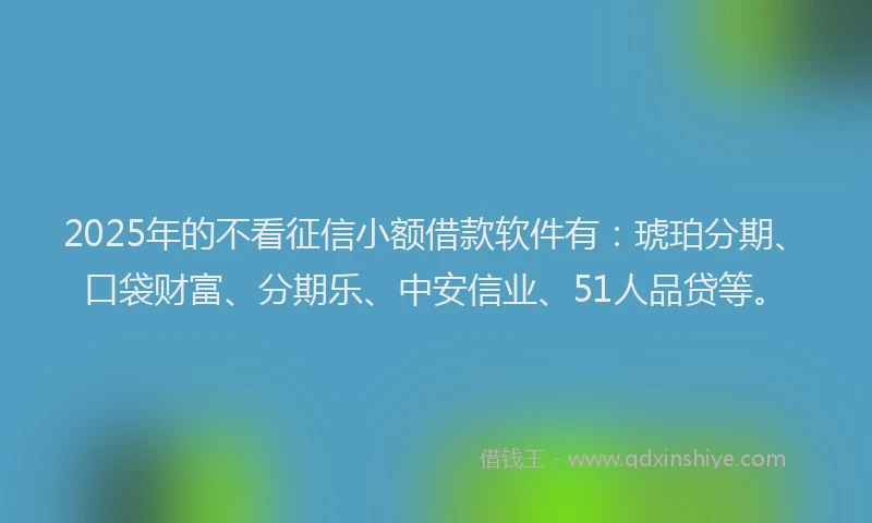 2025年的不看征信小额借款软件有：琥珀分期、口袋财富、分期乐、中安信业、51人品贷等。