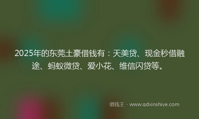2025年的东莞土豪借钱有：天美贷、现金秒借融途、蚂蚁微贷、爱小花、维信闪贷等。