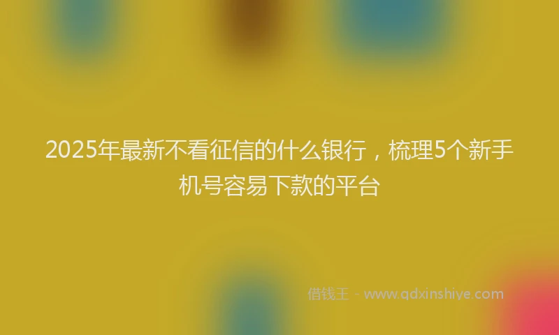 2025年最新不看征信的什么银行，梳理5个新手机号容易下款的平台