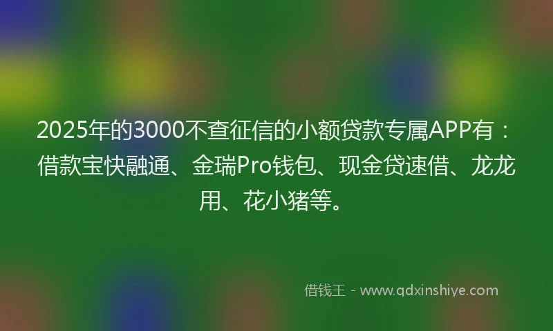 2025年的3000不查征信的小额贷款专属APP有：借款宝快融通、金瑞Pro钱包、现金贷速借、龙龙用、花小猪等。