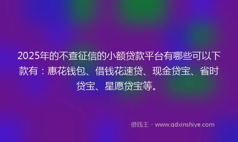 2025年的不查征信的小额贷款平台有哪些可以下款有：惠花钱包、借钱花速贷、现金贷宝、省时贷宝、星愿贷宝等。