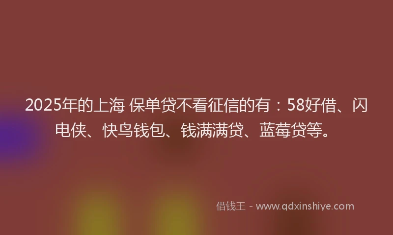 2025年的上海 保单贷不看征信的有：58好借、闪电侠、快鸟钱包、钱满满贷、蓝莓贷等。