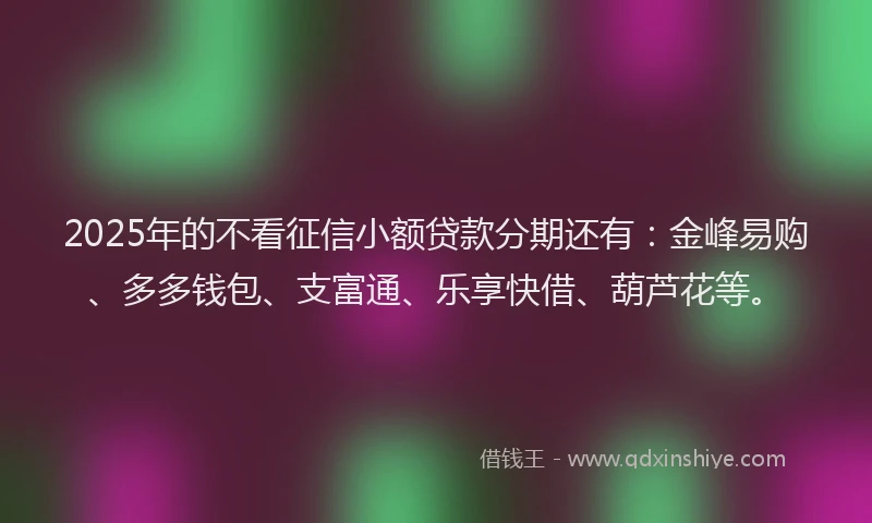 2025年的不看征信小额贷款分期还有：金峰易购、多多钱包、支富通、乐享快借、葫芦花等。