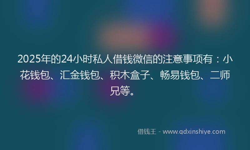 2025年的24小时私人借钱微信的注意事项有：小花钱包、汇金钱包、积木盒子、畅易钱包、二师兄等。