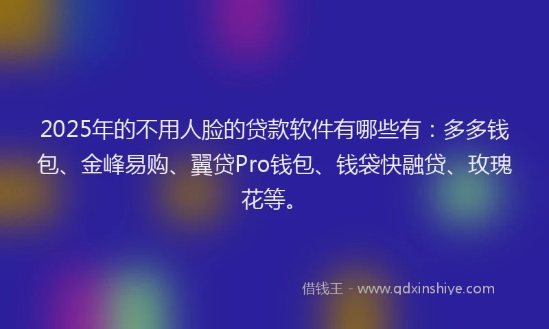 2025年的不用人脸的贷款软件有哪些有：多多钱包、金峰易购、翼贷Pro钱包、钱袋快融贷、玫瑰花等。