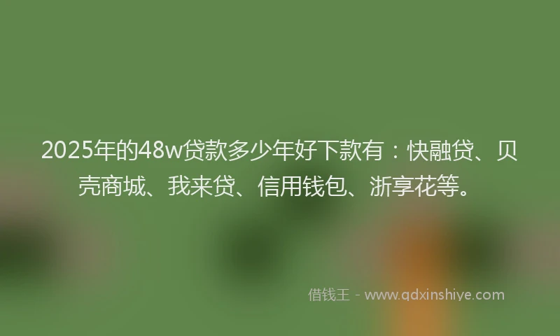 2025年的48w贷款多少年好下款有：快融贷、贝壳商城、我来贷、信用钱包、浙享花等。