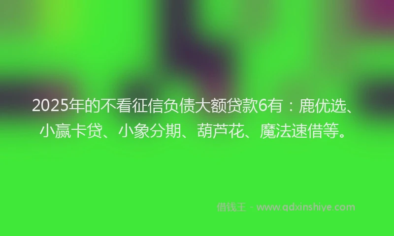 2025年的不看征信负债大额贷款6有：鹿优选、小赢卡贷、小象分期、葫芦花、魔法速借等。
