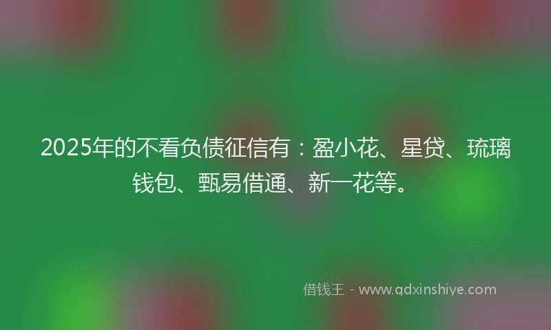 2025年的不看负债征信有：盈小花、星贷、琉璃钱包、甄易借通、新一花等。