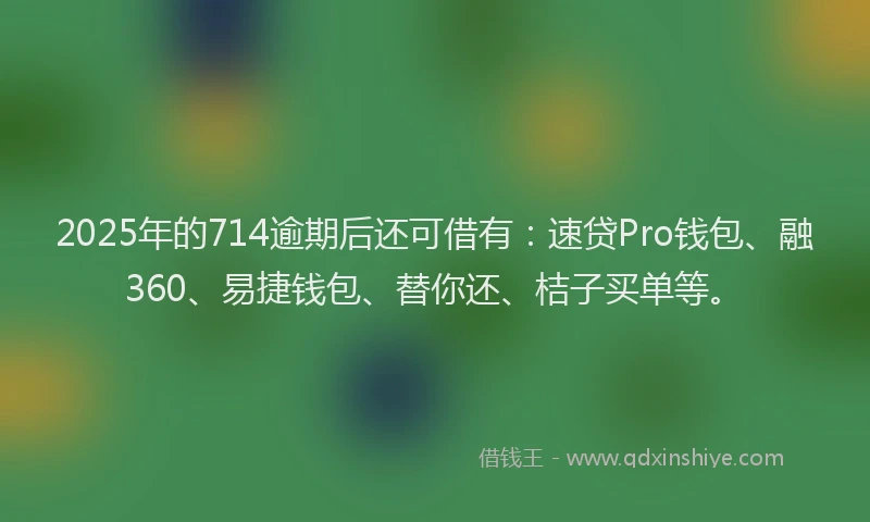 2025年的714逾期后还可借有：速贷Pro钱包、融360、易捷钱包、替你还、桔子买单等。