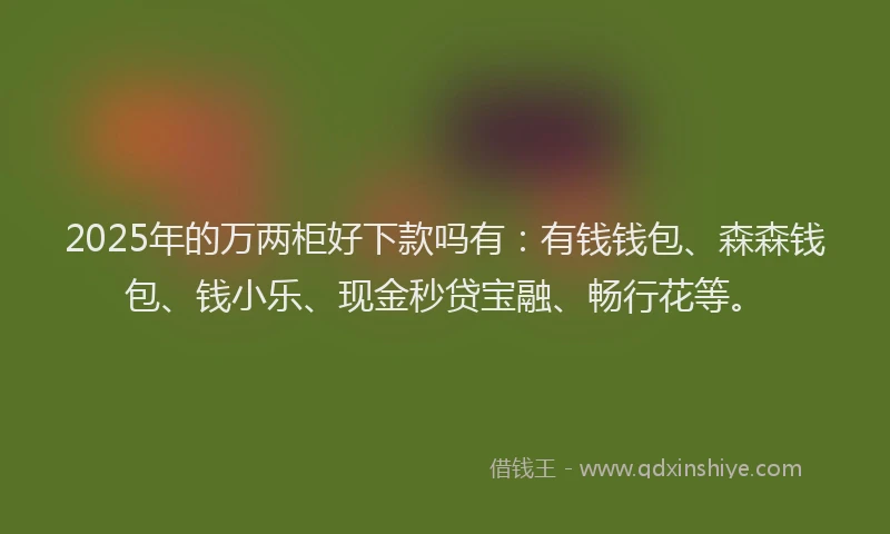 2025年的万两柜好下款吗有：有钱钱包、森森钱包、钱小乐、现金秒贷宝融、畅行花等。