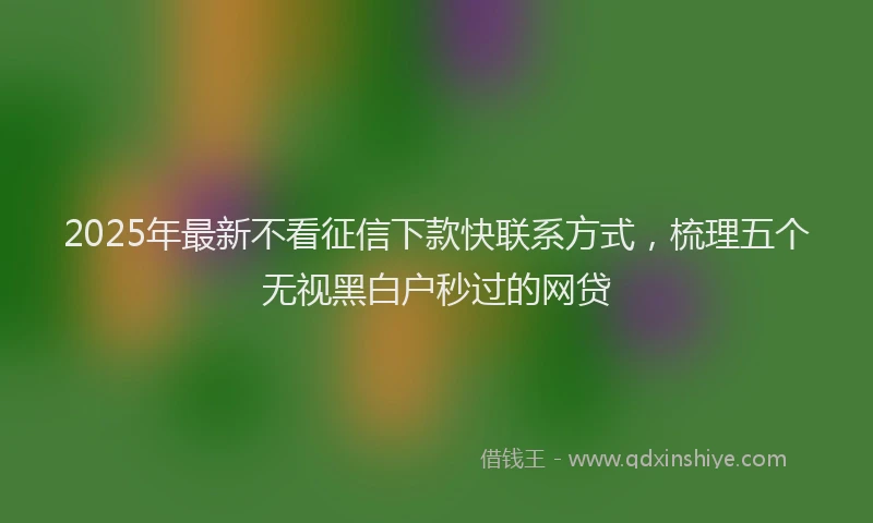 2025年最新不看征信下款快联系方式，梳理五个无视黑白户秒过的网贷