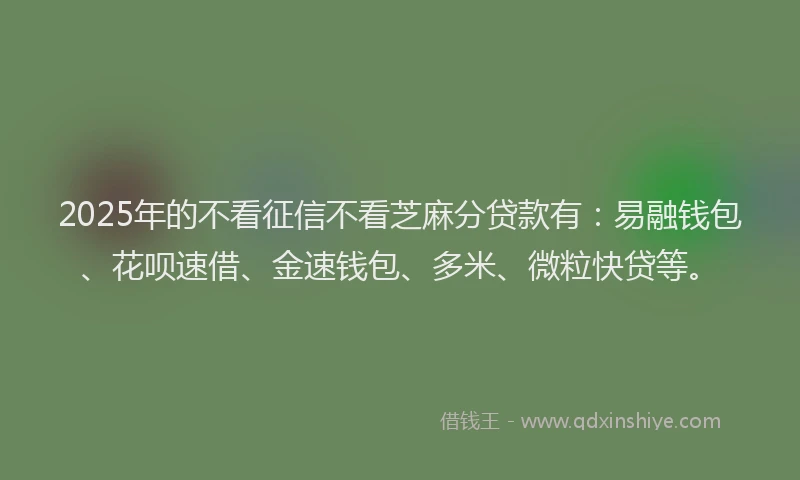 2025年的不看征信不看芝麻分贷款有：易融钱包、花呗速借、金速钱包、多米、微粒快贷等。