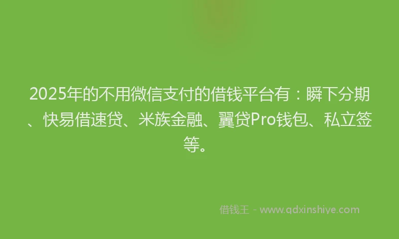 2025年的不用微信支付的借钱平台有：瞬下分期、快易借速贷、米族金融、翼贷Pro钱包、私立签等。