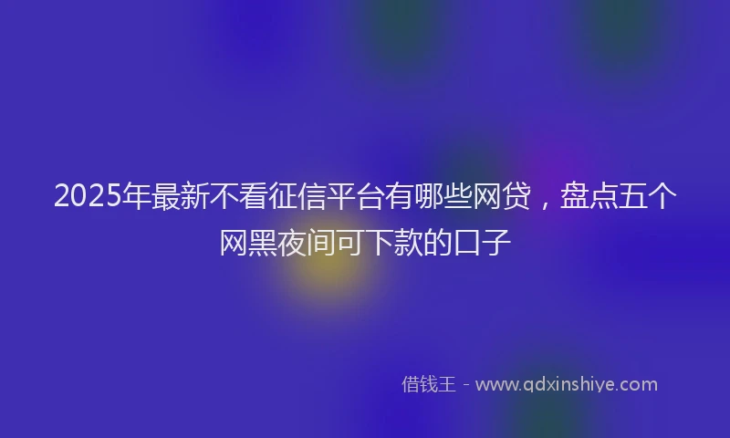 2025年最新不看征信平台有哪些网贷，盘点五个网黑夜间可下款的口子