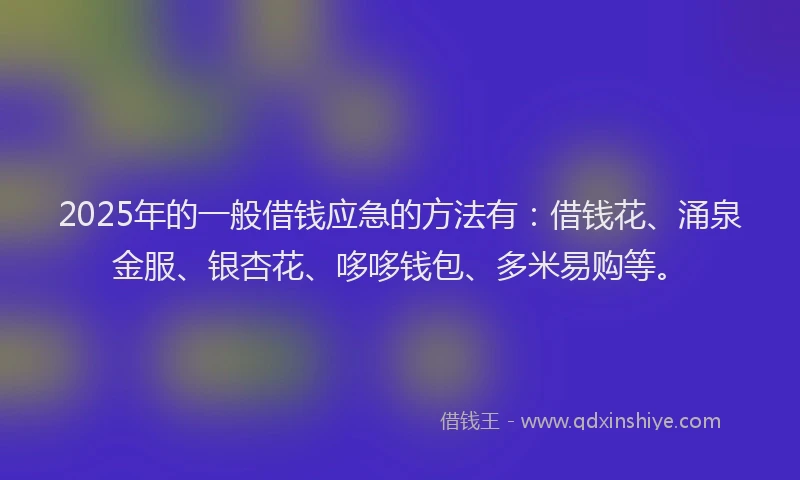 2025年的一般借钱应急的方法有：借钱花、涌泉金服、银杏花、哆哆钱包、多米易购等。
