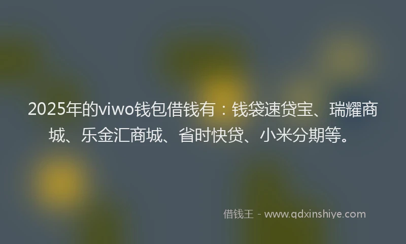 2025年的viwo钱包借钱有：钱袋速贷宝、瑞耀商城、乐金汇商城、省时快贷、小米分期等。