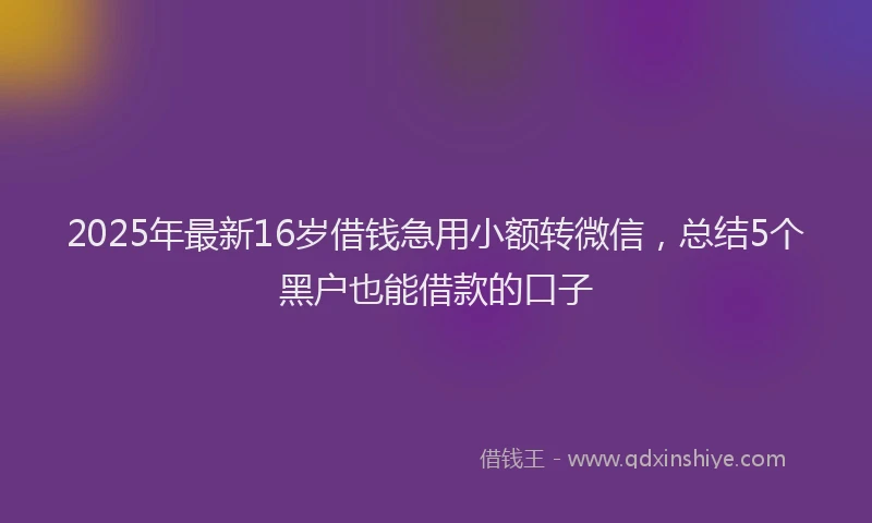 2025年最新16岁借钱急用小额转微信，总结5个黑户也能借款的口子