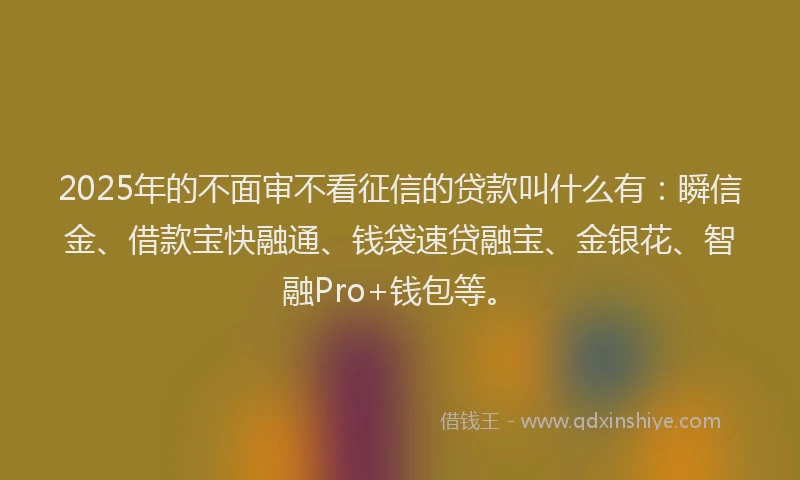 2025年的不面审不看征信的贷款叫什么有：瞬信金、借款宝快融通、钱袋速贷融宝、金银花、智融Pro+钱包等。