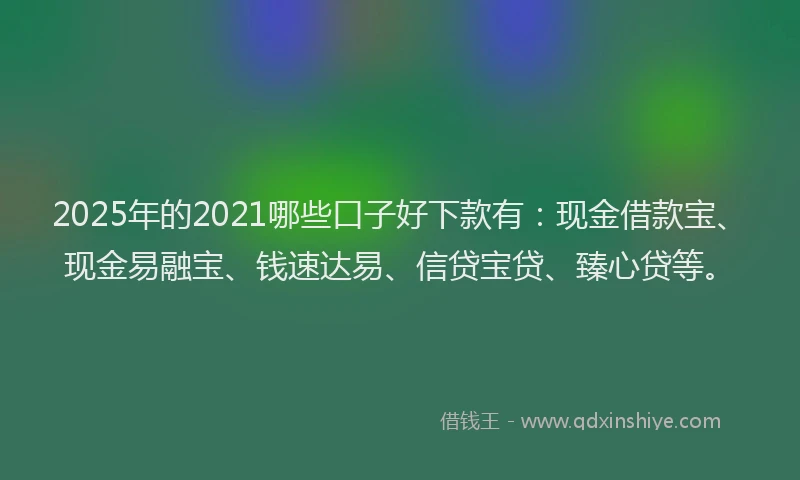 2025年的2021哪些口子好下款有：现金借款宝、现金易融宝、钱速达易、信贷宝贷、臻心贷等。