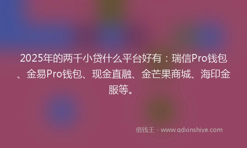 2025年的两千小贷什么平台好有：瑞信Pro钱包、金易Pro钱包、现金直融、金芒果商城、海印金服等。