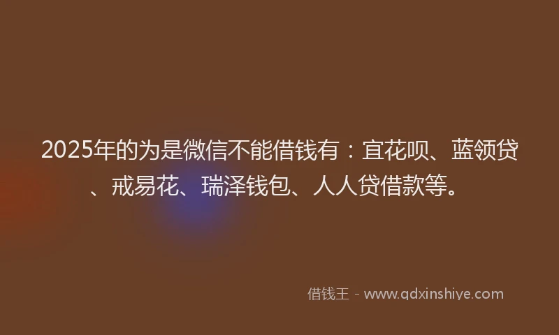 2025年的为是微信不能借钱有：宜花呗、蓝领贷、戒易花、瑞泽钱包、人人贷借款等。