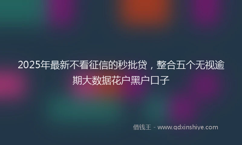 2025年最新不看征信的秒批贷，整合五个无视逾期大数据花户黑户口子