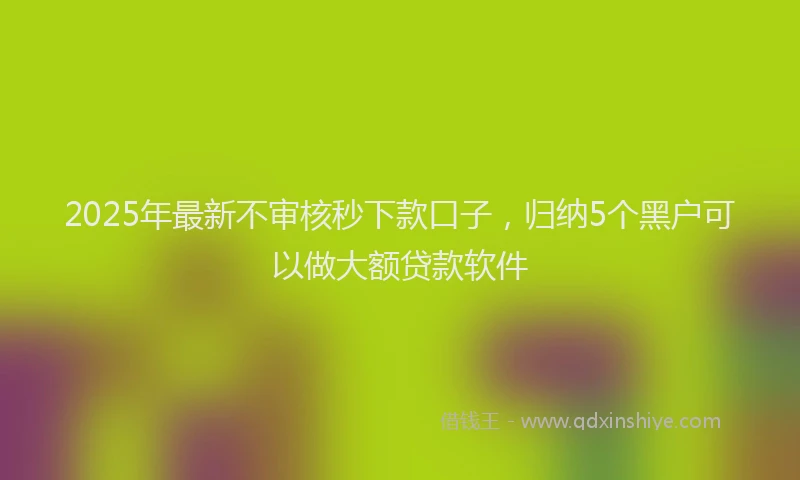 2025年最新不审核秒下款口子，归纳5个黑户可以做大额贷款软件