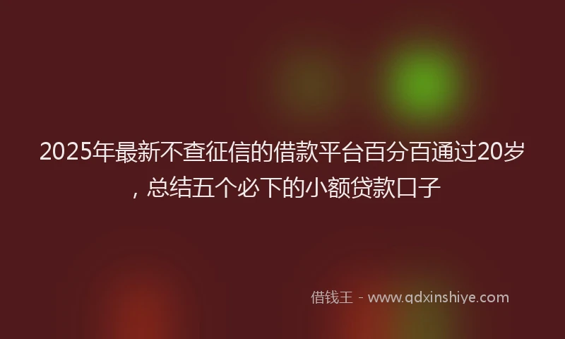 2025年最新不查征信的借款平台百分百通过20岁，总结五个必下的小额贷款口子