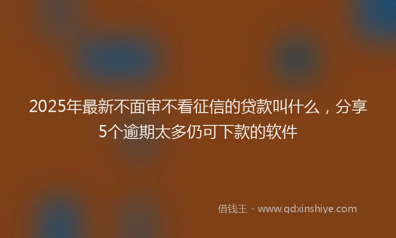 2025年最新不面审不看征信的贷款叫什么，分享5个逾期太多仍可下款的软件