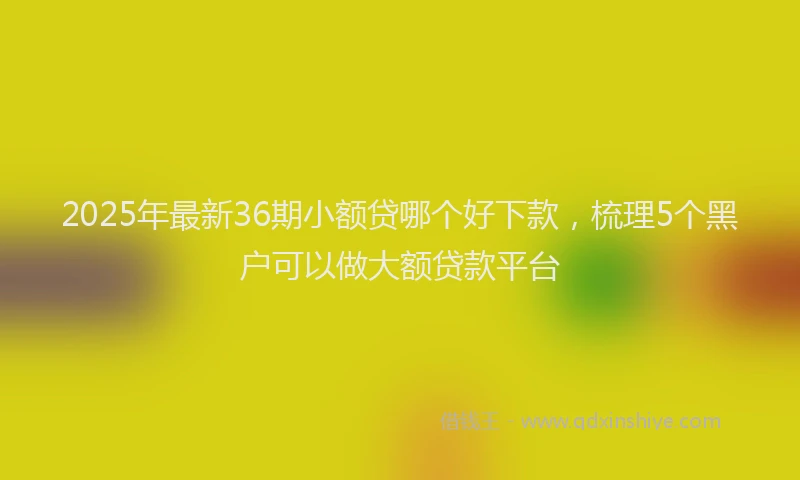 2025年最新36期小额贷哪个好下款，梳理5个黑户可以做大额贷款平台