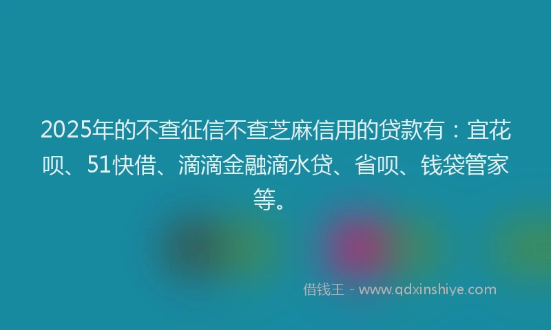 2025年的不查征信不查芝麻信用的贷款有：宜花呗、51快借、滴滴金融滴水贷、省呗、钱袋管家等。