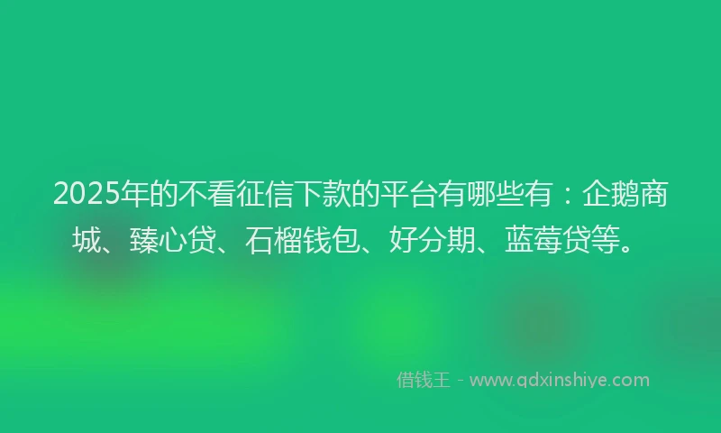 2025年的不看征信下款的平台有哪些有：企鹅商城、臻心贷、石榴钱包、好分期、蓝莓贷等。