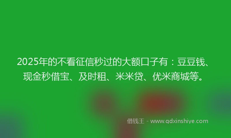 2025年的不看征信秒过的大额口子有：豆豆钱、现金秒借宝、及时租、米米贷、优米商城等。