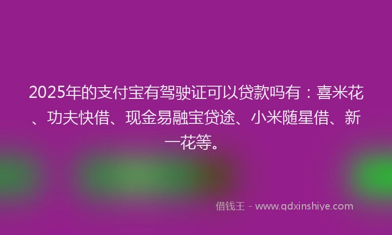 2025年的支付宝有驾驶证可以贷款吗有：喜米花、功夫快借、现金易融宝贷途、小米随星借、新一花等。