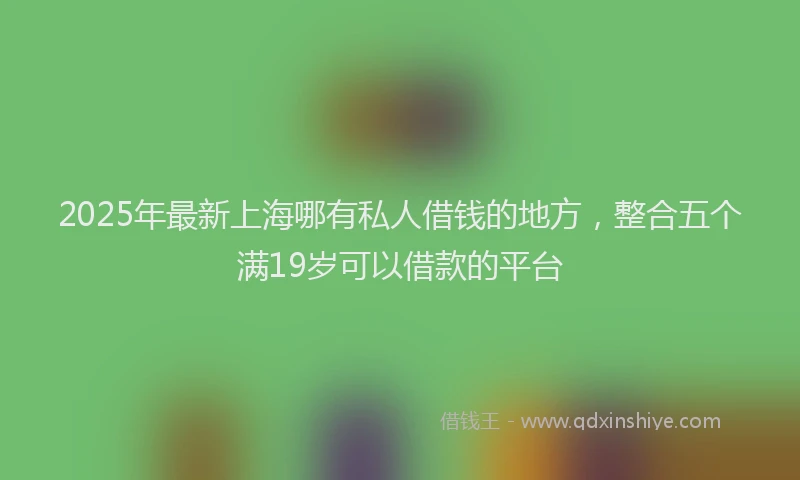 2025年最新上海哪有私人借钱的地方，整合五个满19岁可以借款的平台