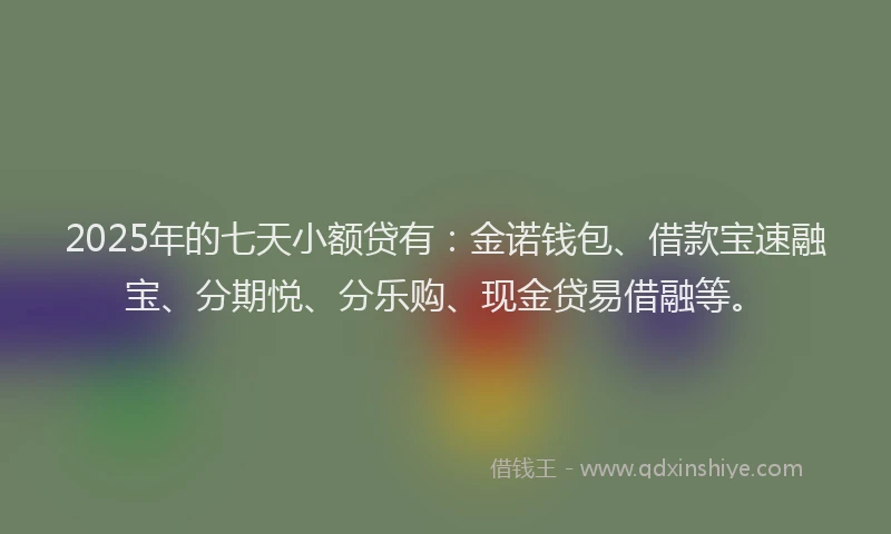 2025年的七天小额贷有：金诺钱包、借款宝速融宝、分期悦、分乐购、现金贷易借融等。