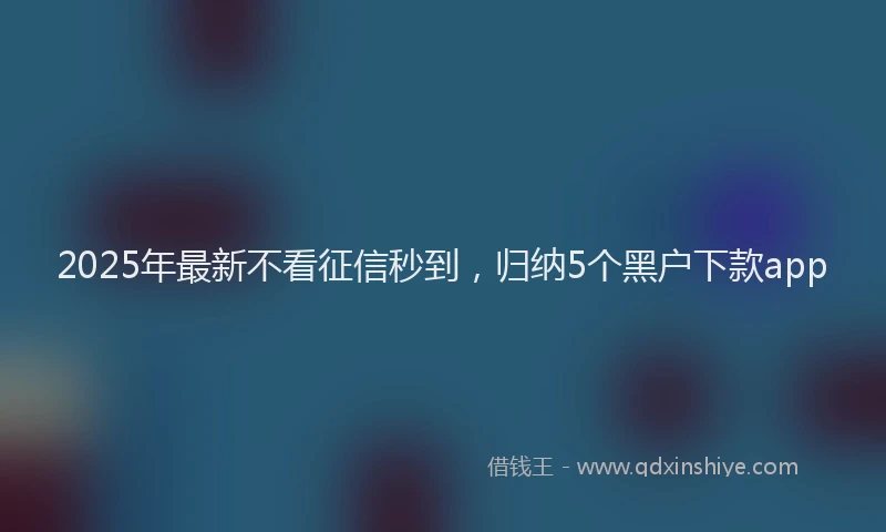 2025年最新不看征信秒到，归纳5个黑户下款app