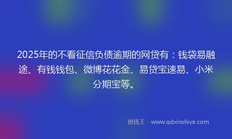 2025年的不看征信负债逾期的网贷有：钱袋易融途、有钱钱包、微博花花金、易贷宝速易、小米分期宝等。