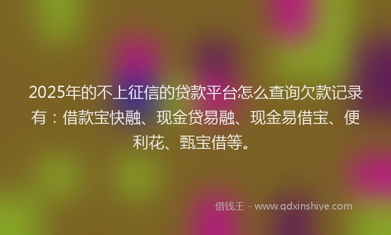 2025年的不上征信的贷款平台怎么查询欠款记录有：借款宝快融、现金贷易融、现金易借宝、便利花、甄宝借等。