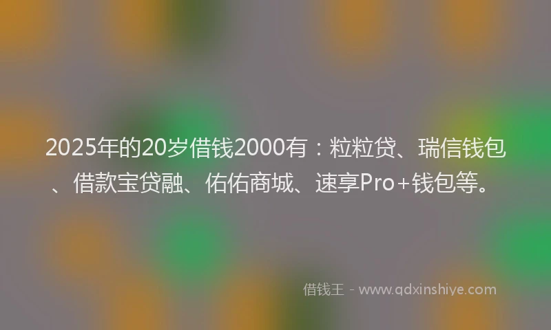 2025年的20岁借钱2000有：粒粒贷、瑞信钱包、借款宝贷融、佑佑商城、速享Pro+钱包等。