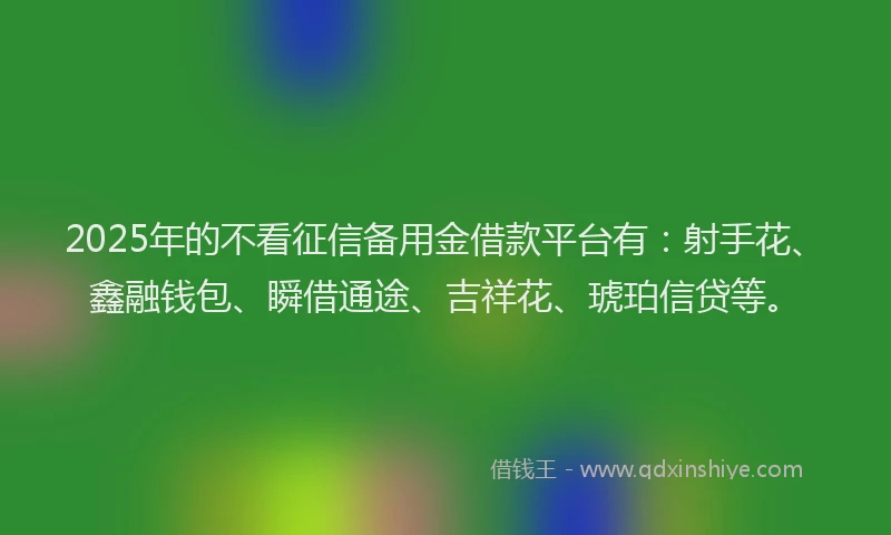 2025年的不看征信备用金借款平台有：射手花、鑫融钱包、瞬借通途、吉祥花、琥珀信贷等。