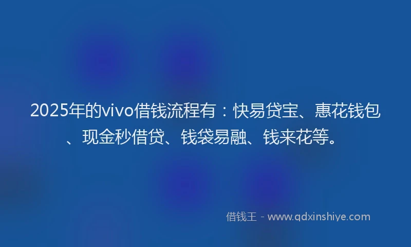 2025年的vivo借钱流程有：快易贷宝、惠花钱包、现金秒借贷、钱袋易融、钱来花等。