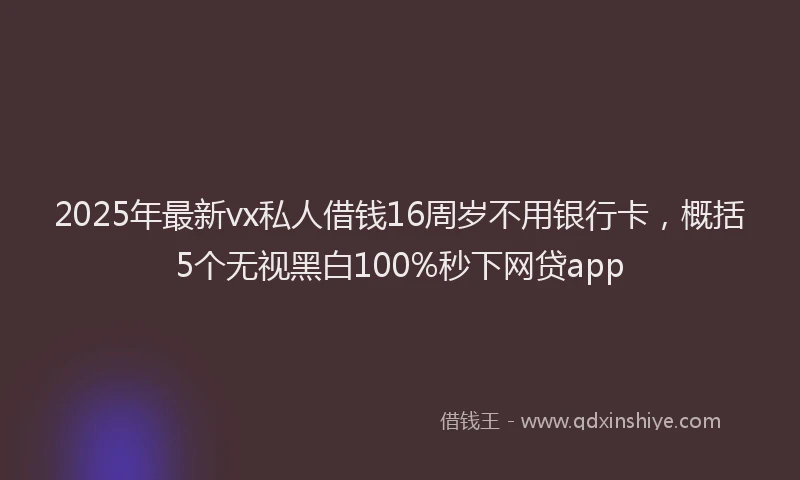 2025年最新vx私人借钱16周岁不用银行卡，概括5个无视黑白100%秒下网贷app