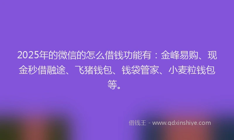 2025年的微信的怎么借钱功能有：金峰易购、现金秒借融途、飞猪钱包、钱袋管家、小麦粒钱包等。
